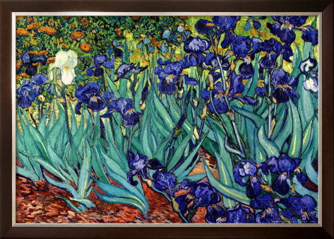 Irises, Saint-Remy - Van Gogh Painting On Canvas